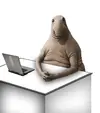 2617467682.webp