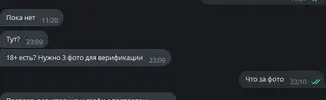 1687955913468.webp