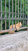 1000008205.webp