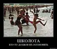 shkolota.webp