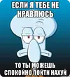 skvidvard_41596475_orig_.webp