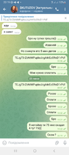 Screenshot_20230723_201918_Telegram.webp