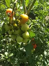 IMG_20230727_100133.webp