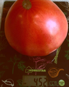 upload_2023_07_27_18_42_16_991.webp