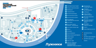 лужа2.webp