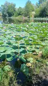 IMG20230730131753.webp