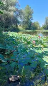IMG20230730131808.webp