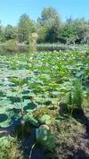 IMG20230730131830.webp