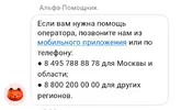 IMG_20230811_081158.webp