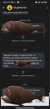 65756756567.webp