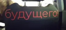 dKk8D2fZloc.webp