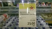 Shedro1.webp