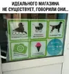 2019-06-06-1559817667.webp