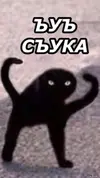 90e784e3f5f26490057ff09c3fdc610e.webp 90e784e3f5f26490057ff09c3fdc610e.webp