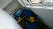 BntcLZFjHq8.webp