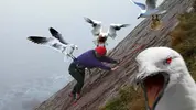 maxresdefault.webp