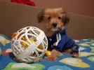 20230917_223853.webp