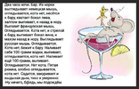 14.webp