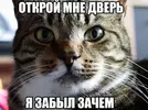 35A81BF9-BEBC-4F8A-8389-B4DE57AE2B43.webp