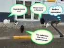 IMG-20231109-WA0019.webp