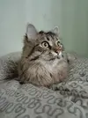 tTGr_2dUwa8.webp