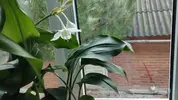 IMG-20231130-WA0012.webp