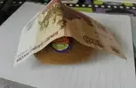 IMG_2488.webp