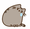 sad-cat-2.webp