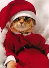 AwGrMxxlFhI.webp