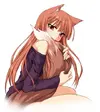 72732.webp
