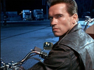terminator moto.webp