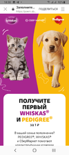 Screenshot_20231210-183021.webp