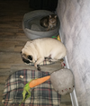IMG_20231218_184527.webp