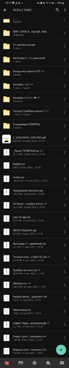 Screenshot_20231220_131756_MEGA.webp