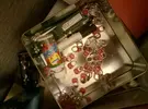 15070326526531618428134.webp