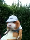 RPBNtnxXnjU.webp