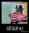 9575438.webp