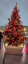 20231230_155131.webp