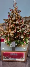 20231230_155421.webp