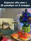 Gx5QnOA_Mbc.webp