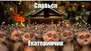 IMG_20240106_221724.webp IMG_20240106_221724.webp