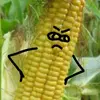 36f33c4505a1dd1e16f2d033932b5935.webp