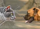 9fb.webp