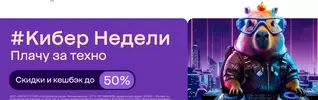 555.webp