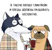 e5ec6350923c0f980af5831a3667fce9.webp