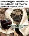 1705583068.webp