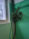 20240122_085245.webp