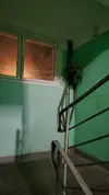1705937849859.webp