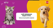 po.webp