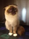 9if0dqinhGU.webp